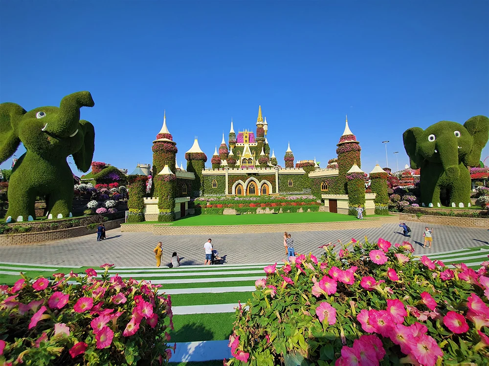 Tipy