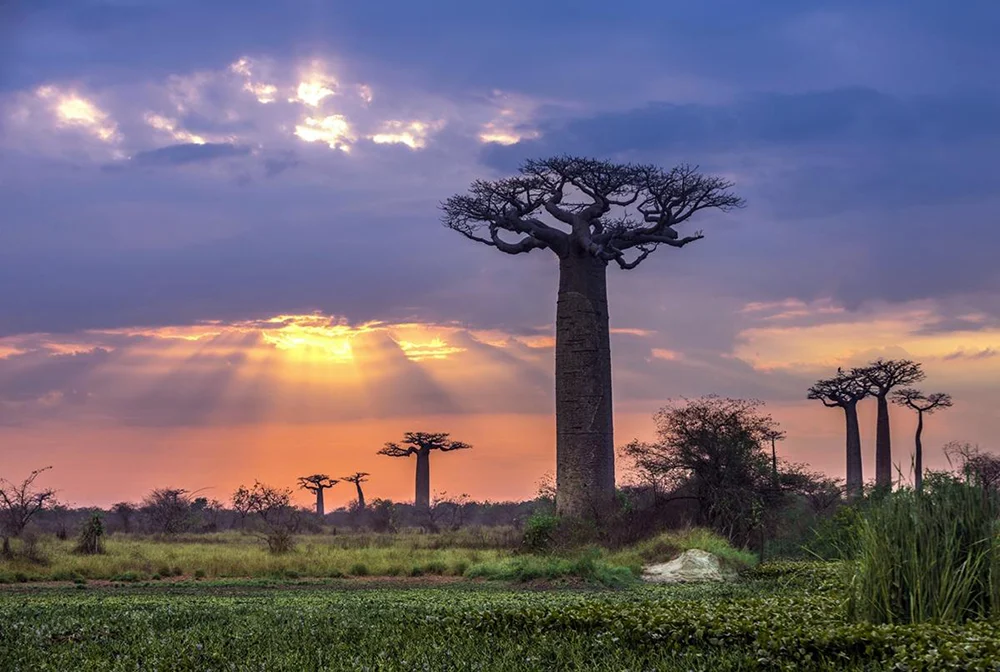 Tipy na dovolenku na ostrove Madagaskar